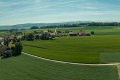 DSC_3113-Panorama-Modifier